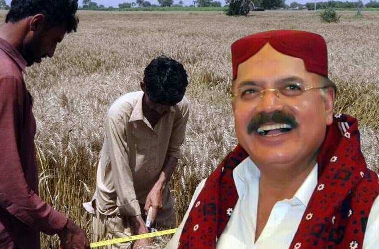 سندھ حکومت کا 25 ایکڑ تک والے کاشتکاروں کو گندم کے بیج کی سبسڈی رقم دینے کا فیصلہ