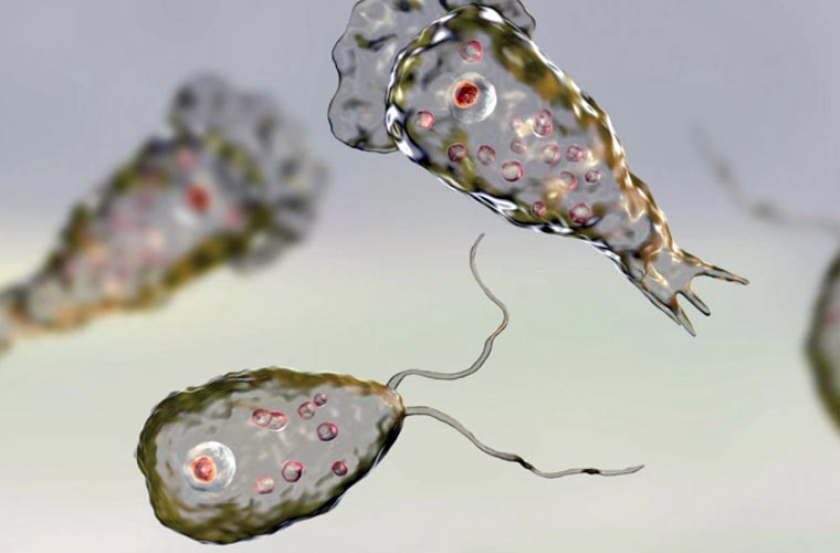 کراچی میں نگلیریا سے ایک ہفتے کے دوران تین ہلاکتیں