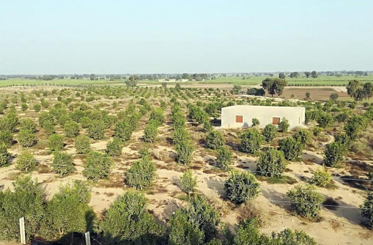 پنجاب میں پاک فوج کو دی گئی اراضی پر حکم امتناع ختم کرنے کی درخواست پر نوٹسز جاری