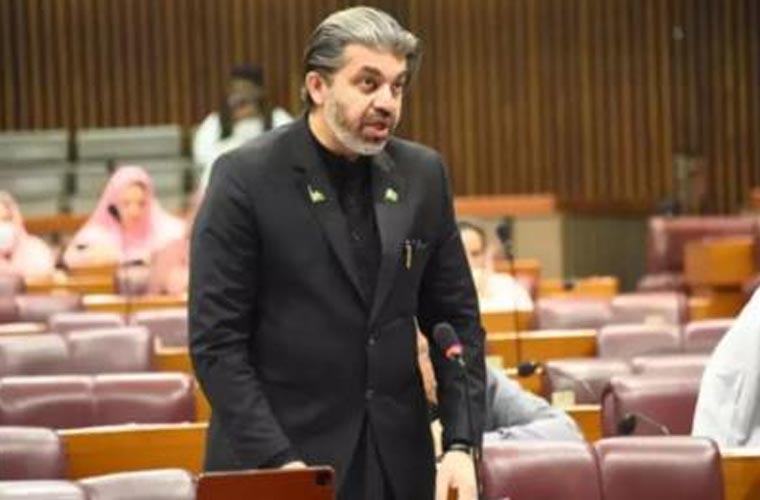 رہنما پی ٹی آئی علی محمد خان رہا ہوتے ہی دوبارہ گرفتار