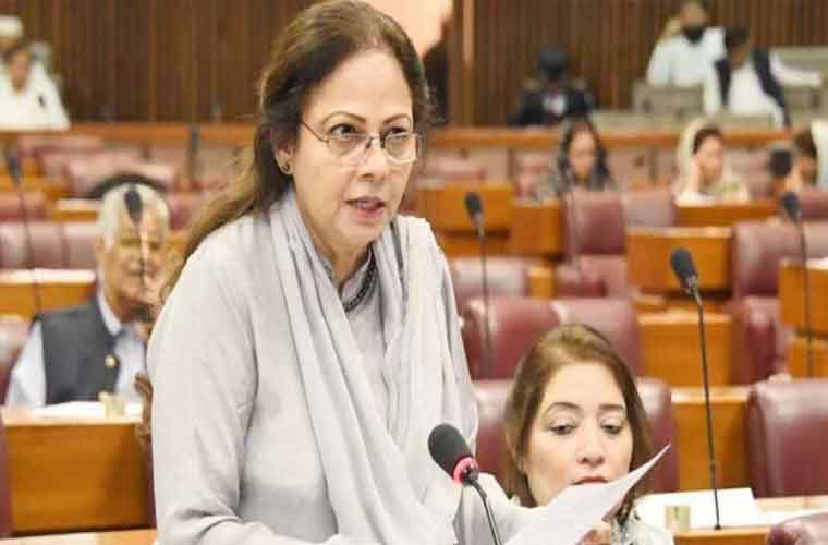 آئندہ بجٹ ٹیکس فری نہیں ہوگا : عائشہ غوث پاشا