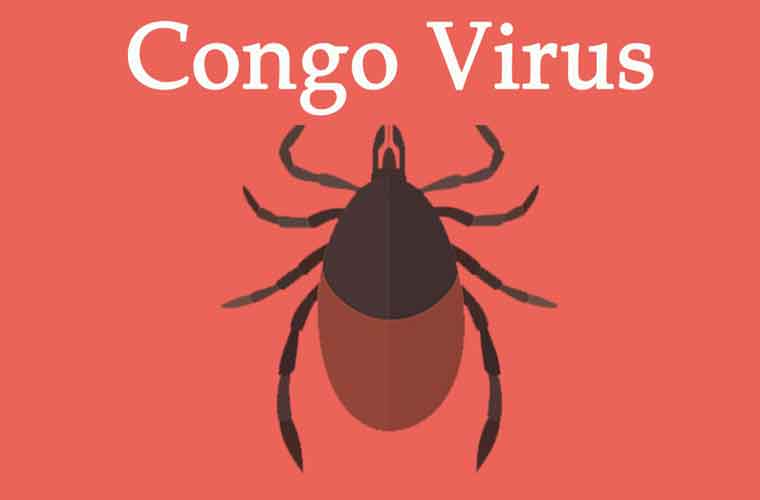 خیبرپختونخوا میں کانگو وائرس شدت اختیار کرگیا
