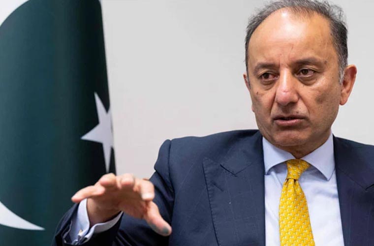 معدنیات کے انقلاب سے ملک میں روزگار کے بے شمار مواقع پیدا ہوں گے: مصدق ملک