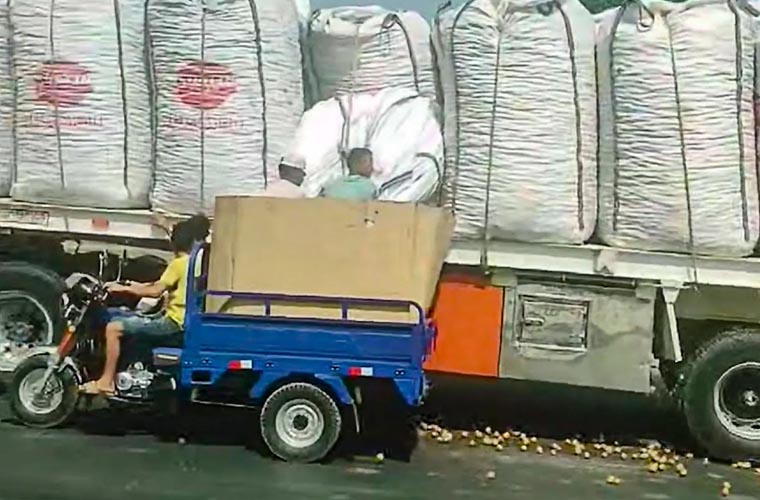 مصر: چلتے ٹرکوں سے سبزیاں اور پھل چرانے والا گینگ گرفتار