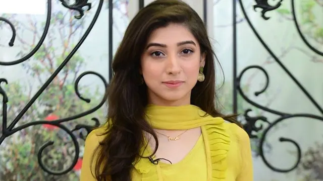 ‘اداکارائیں طوائف نہیں ہوتیں’، مریم نفیس غیر اخلاقی پیغامات بھیجنے والوں کو بے نقاب کردیا