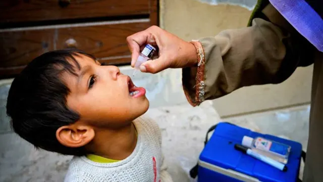 پاکستان بھر میں 11 اضلاع کے ماحولیاتی نمونوں میں پولیو وائرس کی تصدیق