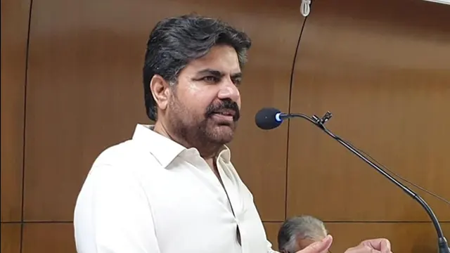 الیکشن میں پیپلز پارٹی سرپرائز دے گی: ناصر حسین شاہ