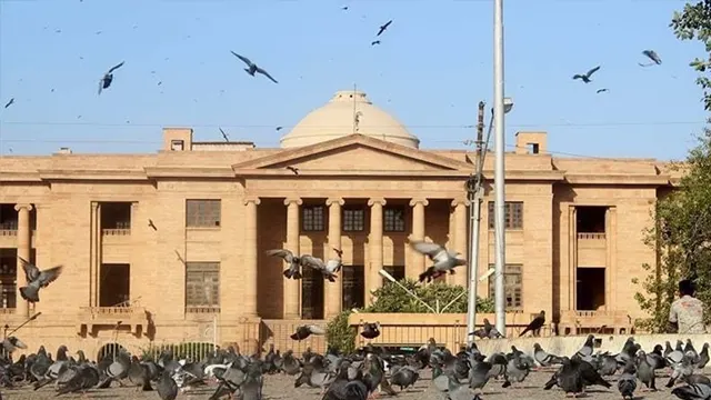 سندھ ہائیکورٹ بار ایسوسی ایشن کا الیکشن کمیشن اور حلقہ بندیوں پر تحفظات کا اظہار