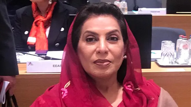 الیکشن کمیشن نے فہمیدہ مرزا کو جی ڈی اے کا انتخابی نشان دینے سے معذرت کرلی