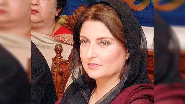 سمیرا ملک مسلم لیگ ن پنجاب کی نائب صدارت سے مستعفی