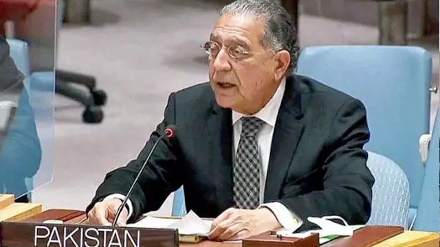 سلامتی کونسل ، پاکستان کا کالعدم ٹی ٹی پی کے حملے روکنے کیلئے افغان حکومت پر دباؤ ڈالنے کا مطالبہ