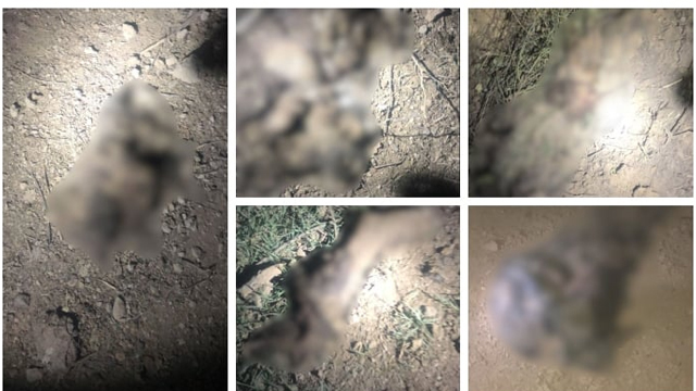 سیکیورٹی فورسز کا ڈیرہ اسماعیل خان میں آپریشن، 8 دہشتگرد ہلاک