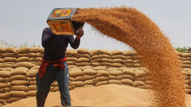 شہری نے گندم اسکینڈل کی تحقیقات کیلئے درخواست دائر کردی