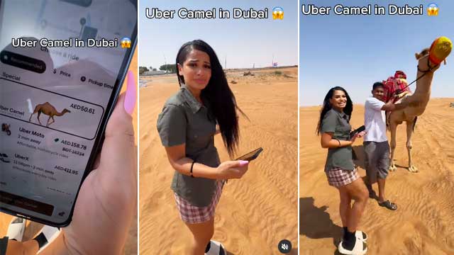 صحرا میں پھنسی خاتون کیلئے اوبر  نے صحرا میں اونٹ بھیج دیا