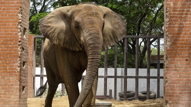 مدھو بالا طویل انتظار کے بعد بہنوں سے ملنے کیلئے بے تاب