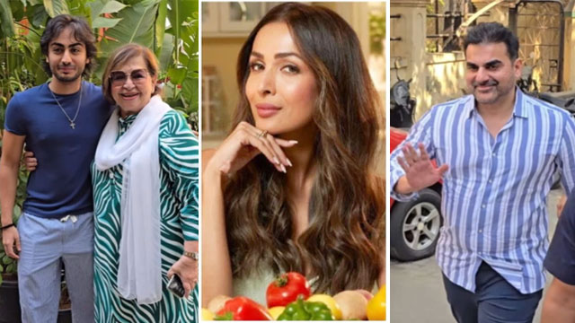 ارباز بیوی کے بغیر سابقہ اہلیہ ملائیکہ کے ریسٹورینٹ پہنچ گئے