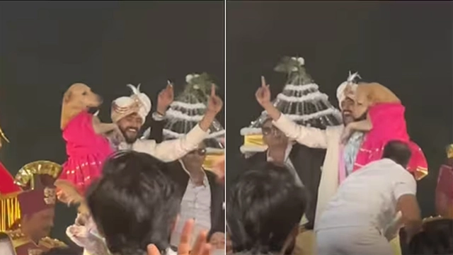 شادی میں دلہا کا پالتو کتے کیساتھ رقص، ویڈیو وائرل