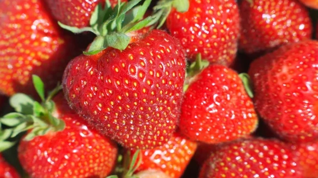 سردیوں میں اسٹرابیری کھانے کے اہم فوائد جانئے