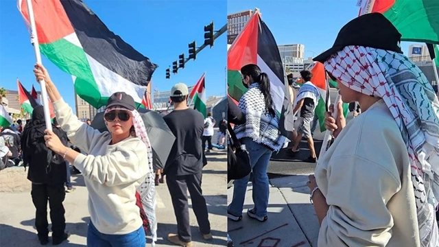 حدیقہ کیانی کی امریکا میں فلسطین یکجہتی ریلی میں شرکت، تصاویر وائرل