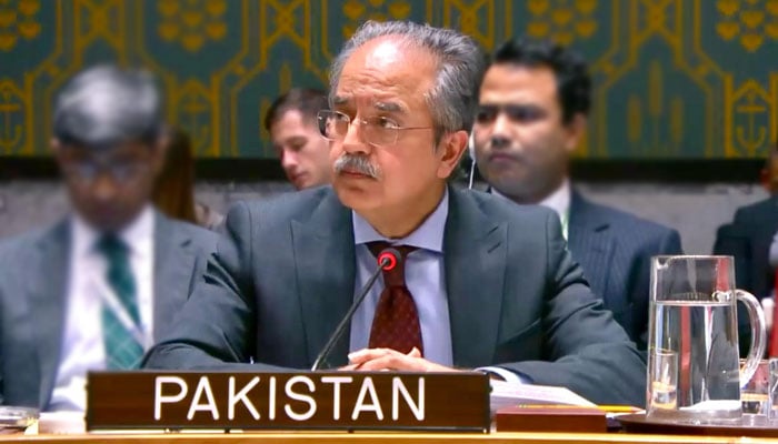اقوام متحدہ کا اجلاس؛ پاکستان کا غزہ میں فوری جنگ بندی کے قیام پر زور