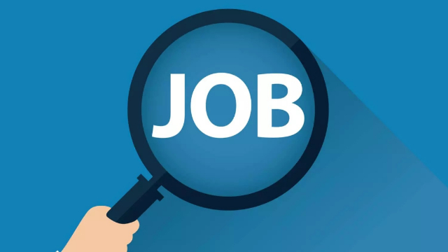 سرکاری نوکریاں پنجاب 2026