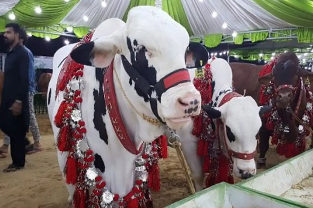 عید الاضحٰی کس تاریخ کو ہوگی؟ بڑی خبر آگئی