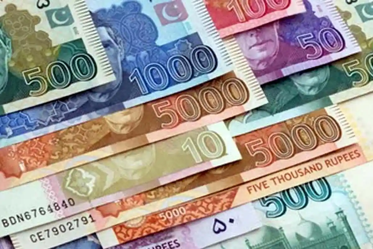 کرنسی نوٹوں کو عام طور پر کاغذ سمجھا جاتا ہے، مگر حقیقت اس کے برعکس