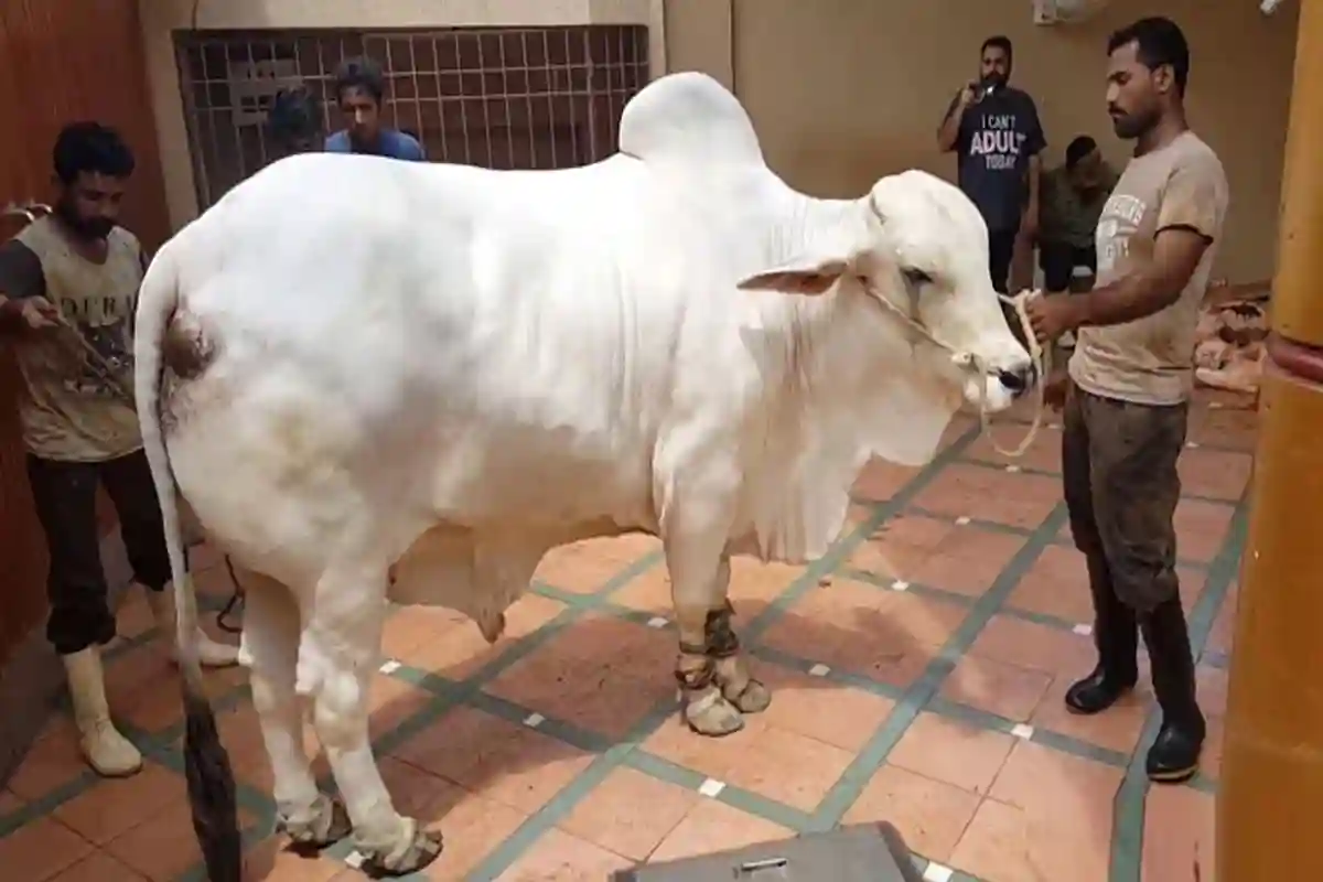 عیدالاضحیٰ کے دوران موسم