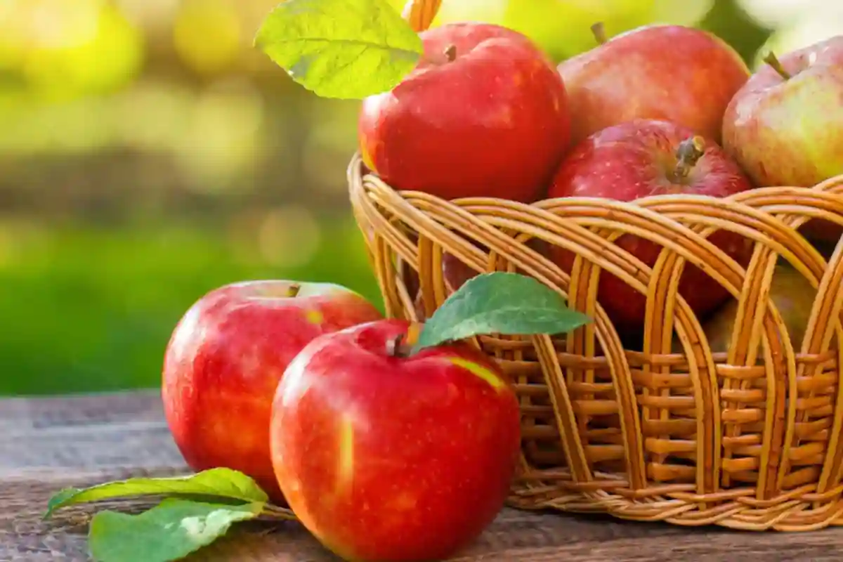 ’روزانہ ایک سیب رکھے ڈاکٹر کو دور‘، دعوے کی حقیقت کیا ہے؟ جانیے