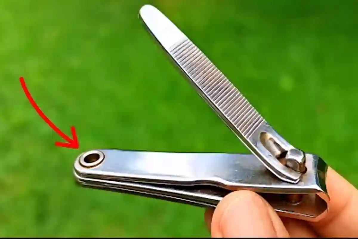 ناخن کٹر میں موجود یہ سوراخ کیوں ہوتا ہے؟ دلچسپ وجہ جانیے