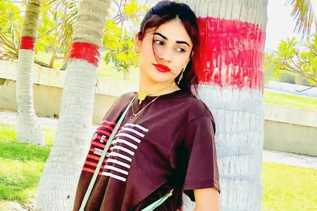 عامر لیاقت کی سابقہ اہلیہ دانیہ شاہ کی سیاست میں انٹری؟