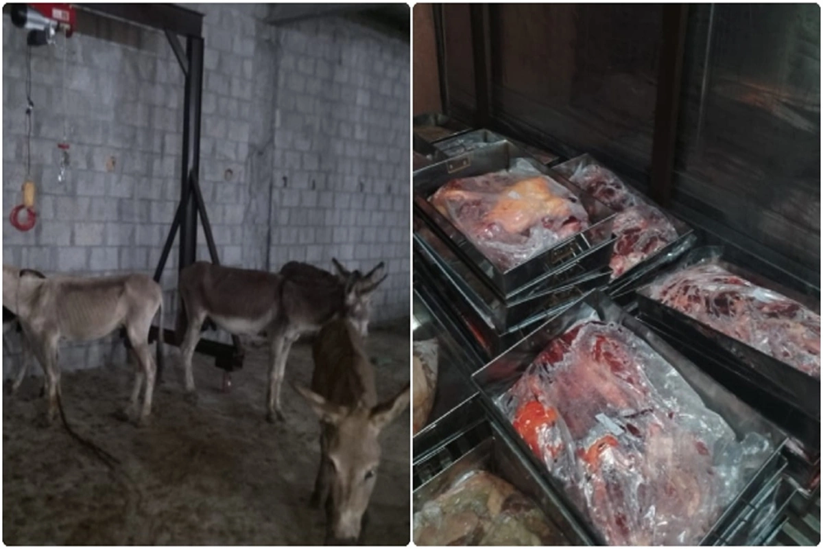 گدھے کے گوشت کی اسلام آباد سے باہر سپلائی کی رپورٹس موجود ہیں، اسلام آباد فوڈ اتھارٹی