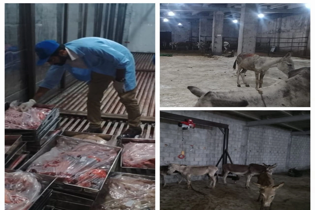 اسلام آباد فوڈ اتھارٹی کا ترنول میں چھاپا، 25 من گدھے کا گوشت برآمد