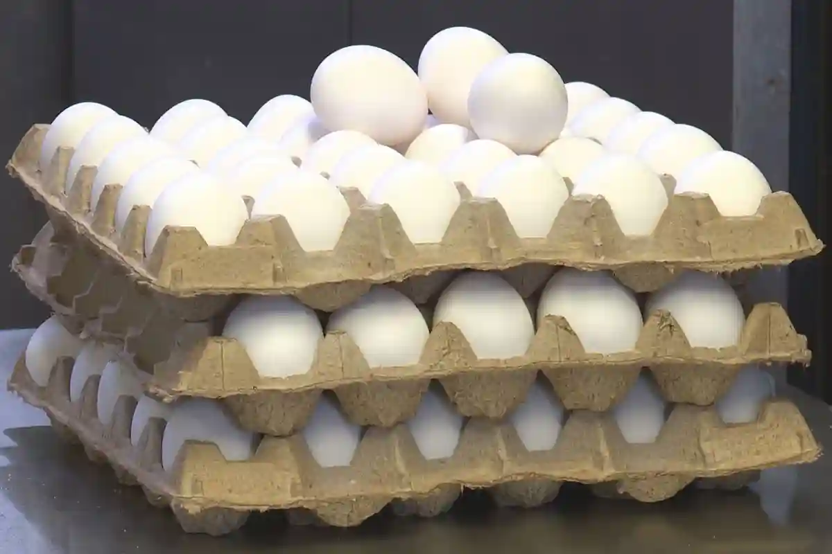 انڈوں کی فروخت پر پابندی عائد؛ مگر کیوں؟