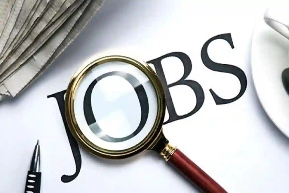 ملازمتیں ہی ملازمتیں؛ پاکستانیوں کیلئے بڑی خوشخبری، تنخواہ 50 ہزار سے 3.5 لاکھ روپے تک؛ اپلائی کیسے کریں؟ جانیے