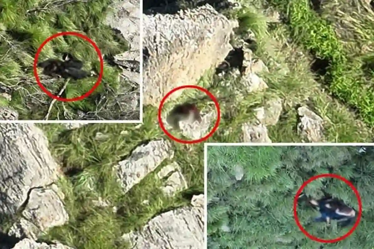 سیکیورٹی فورسز کی خیبرپختونخوا میں کارروائیاں؛ 19خارجی ہلاک