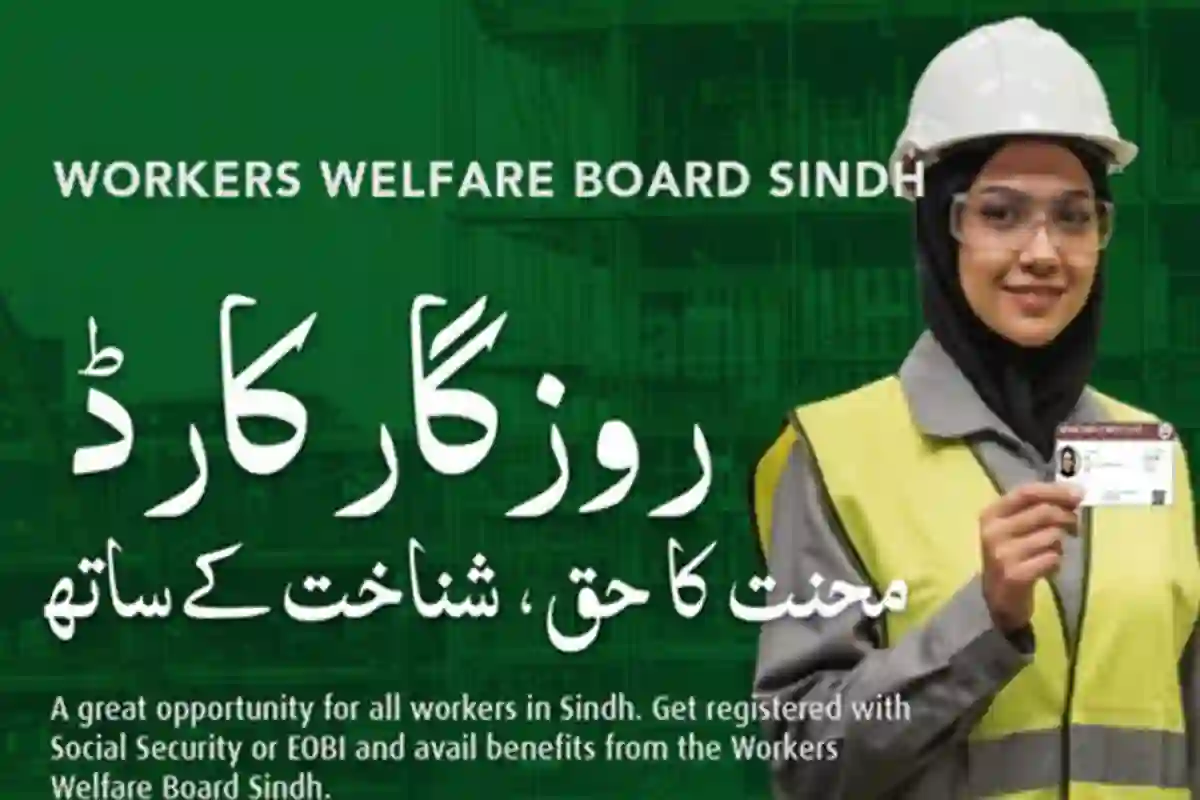 سندھ حکومت کے روزگار کارڈ کیلئے آن لائن اپلائی کرنے کا طریقہ جان لیں