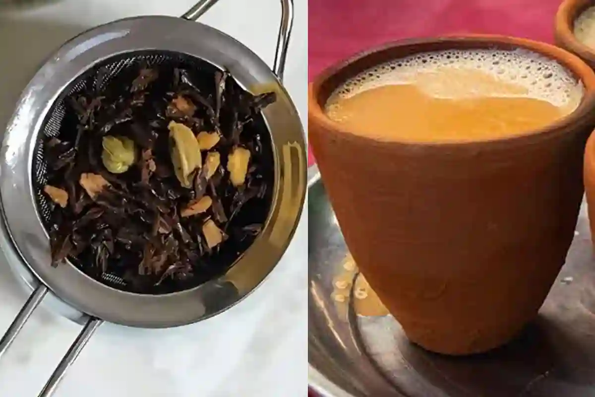 اسے بے کار سمجھ کر ضائع نہ کریں؛ بچی ہوئی چائے کی پتی کے 6 حیرت انگیز استعمال سامنے آگئے