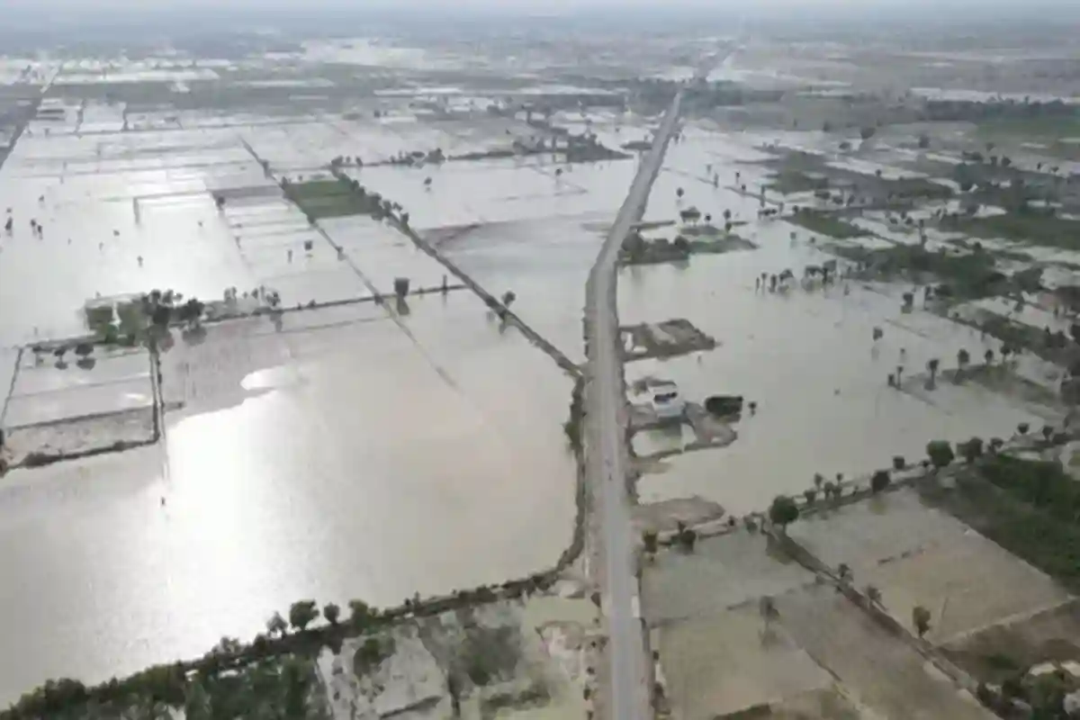 پنجاب میں سیلابی صورت حال برقرار، شجاع آباد، رحیم یار خان، راجن پور اور وہاڑی میں تباہی