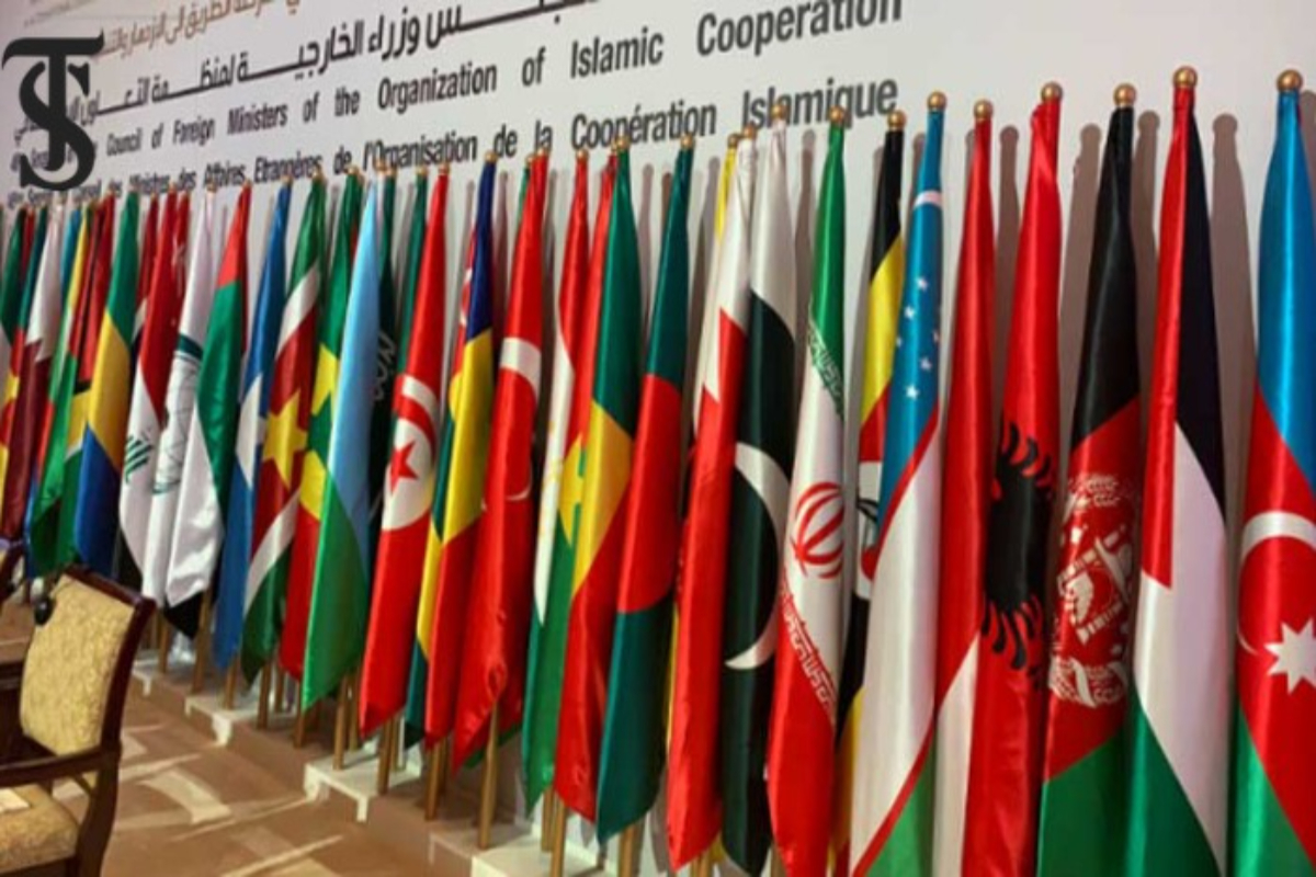 قطر پر اسرائیلی حملے کے بعد او آئی سی اجلاس کل ہوگا، وزیراعظم بھی شریک ہوں گے