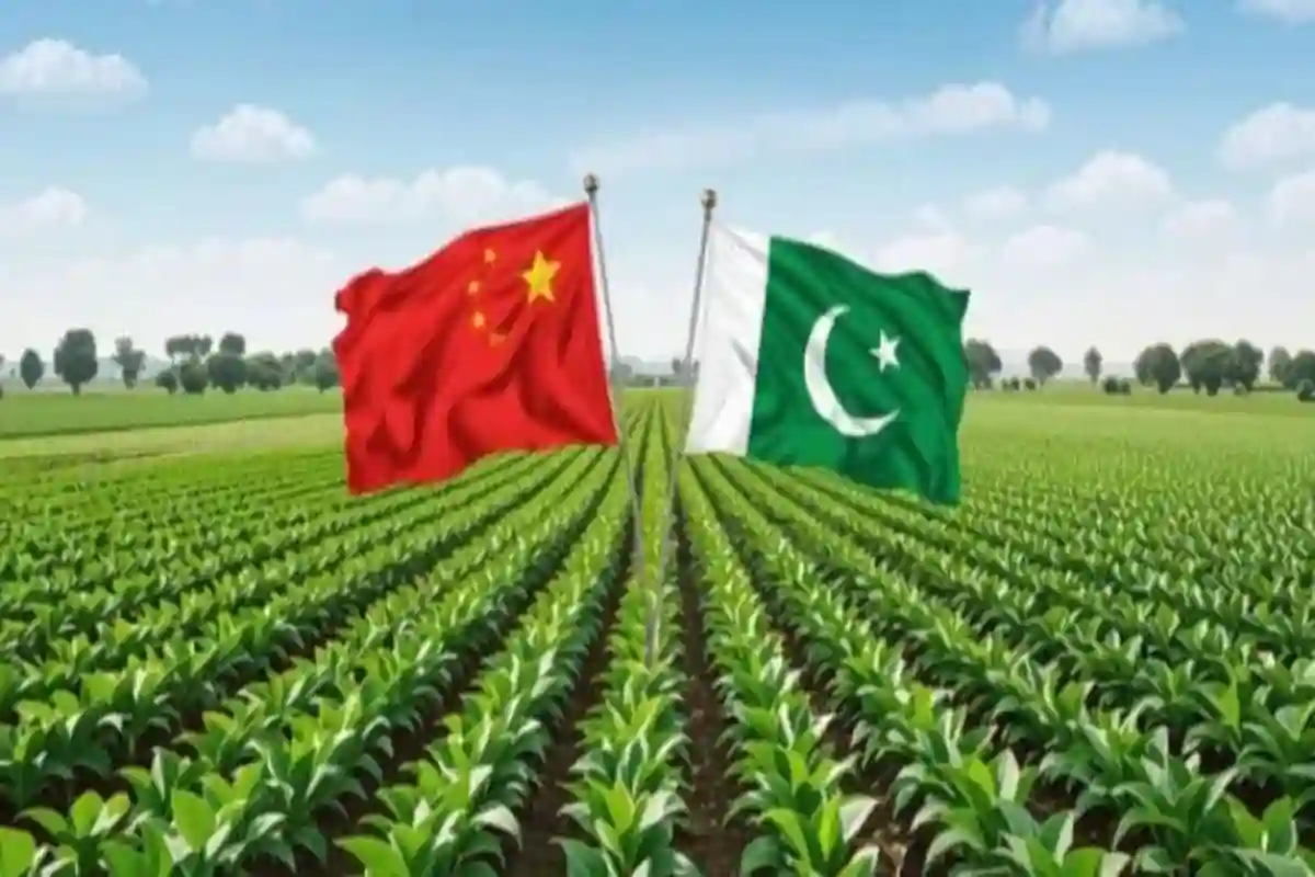 پاک اور چین کے درمیان 4 ارب ڈالر سے زائد کے تاریخی زرعی معاہدوں پر دستخط