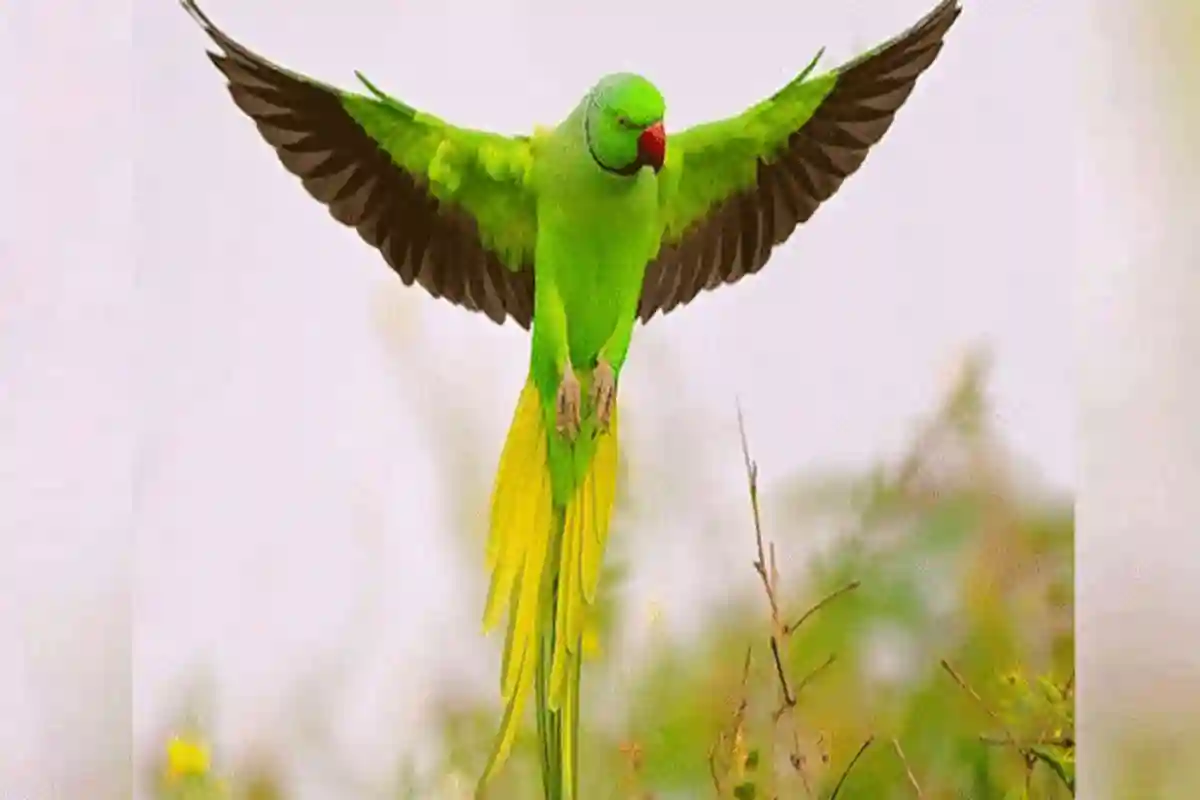 ہاتھوں کے طوطے اڑ گئے، پنجاب حکومت نے نیا قانون بنا لیا