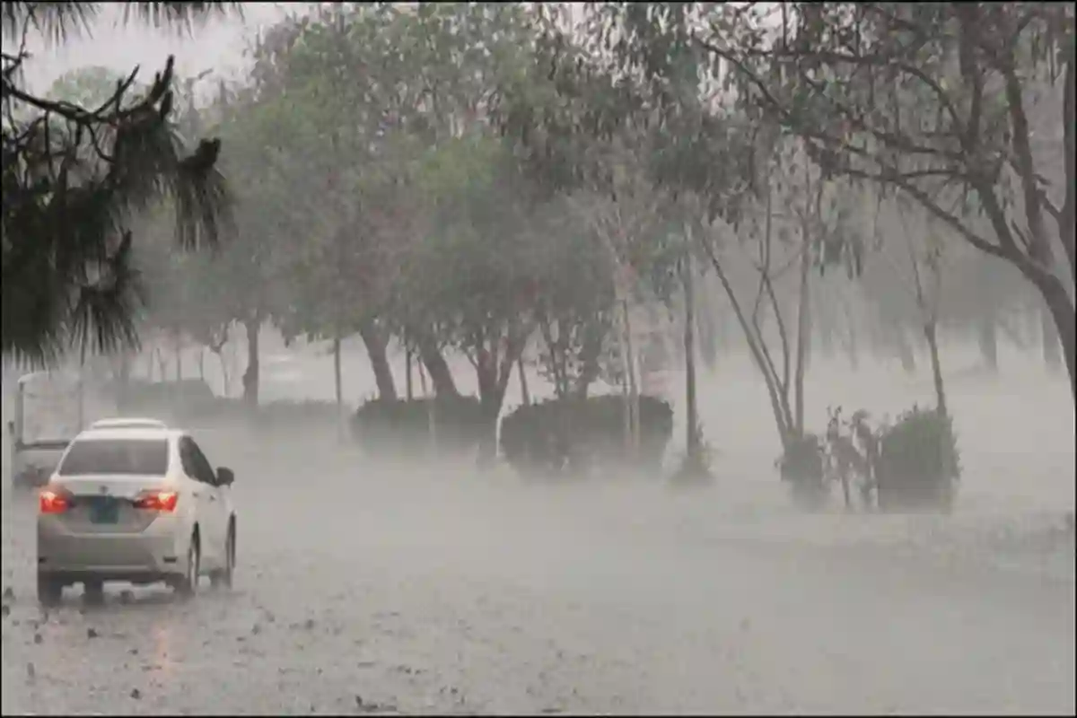 کراچی سمیت مختلف شہروں میں کل سے موسلا دھار بارش کا امکان