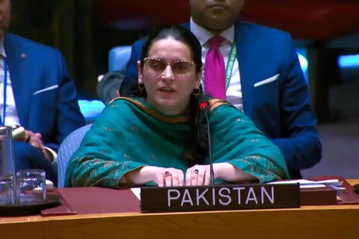 بھارت دنیا بھر میں دہشت گردوں کی سرپرستی اور کشمیر میں مظالم چھپا نہیں سکتا، پاکستانی مندوب