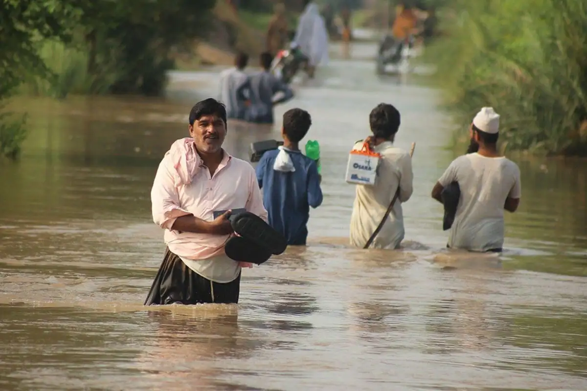 درختوں کا سہارا لیکر مدد کے منتظر سیلاب متاثرین کی ویڈیو وائرل