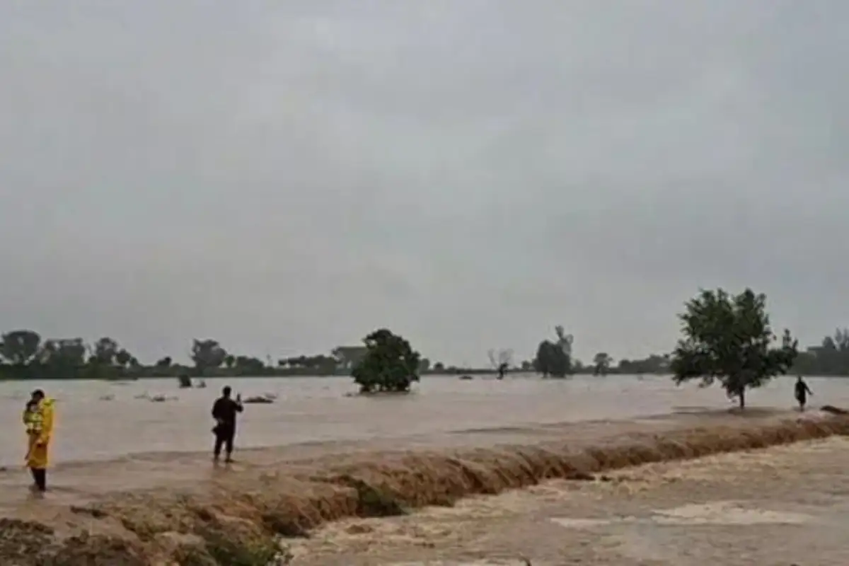 سندھ حکومت کی شاہراہ بھٹو سیلابی پانی میں بہہ گئی،ویڈیو وائرل