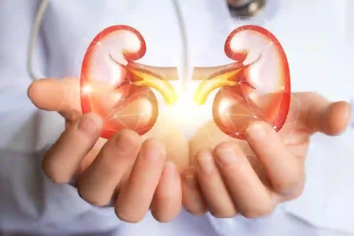 کونسی دو بیماریوں کے گردوں پر منفی اثرات مرتب ہوتے ہیں؟