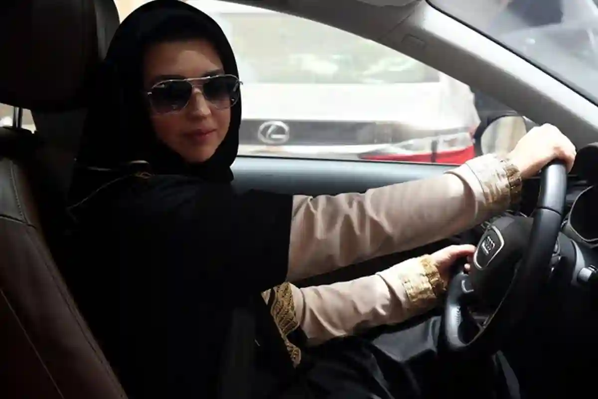 ڈرائیونگ لائسنس