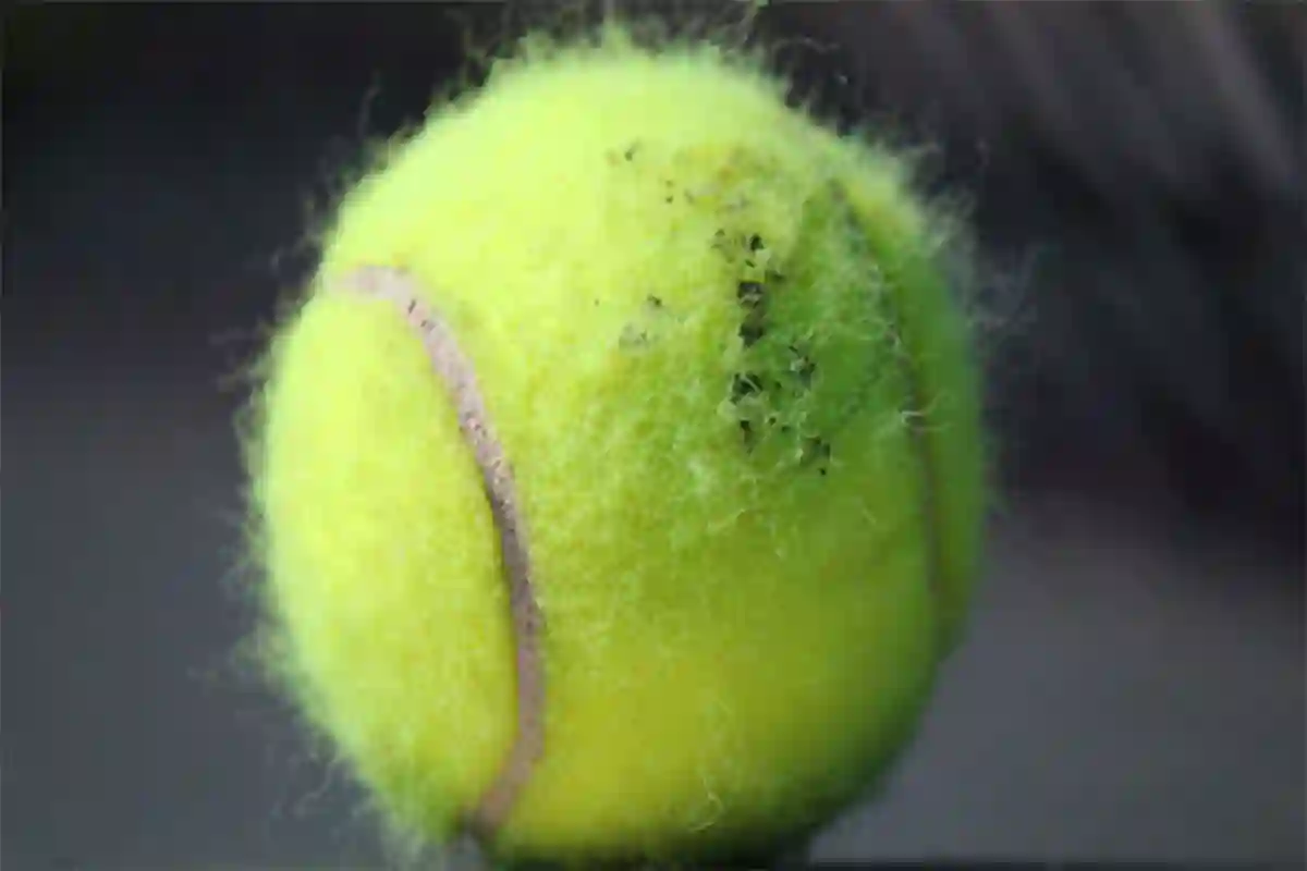 Why are hairs necessary on a tennis ball? Find out the reason