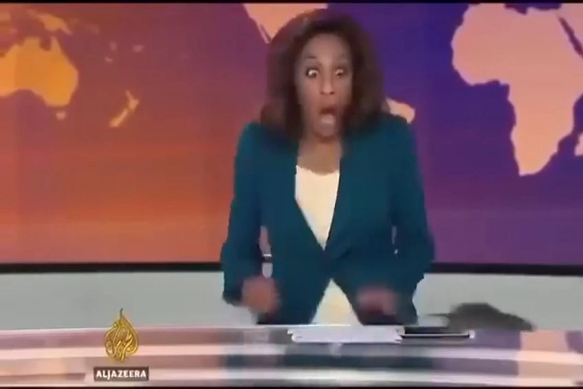 Rat enters Arabic TV channel during live broadcast